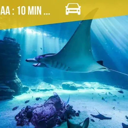 Le Cocon- Avec Terrasse A 5 Minutes A Pied De La Διαμέρισμα