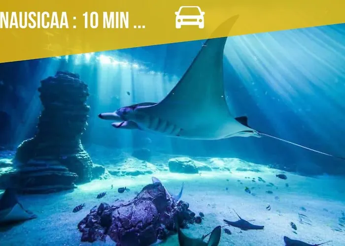 Le Cocon- Avec Terrasse A 5 Minutes A Pied De La Lägenhet